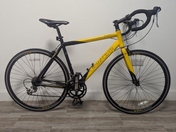 Carerra TDF