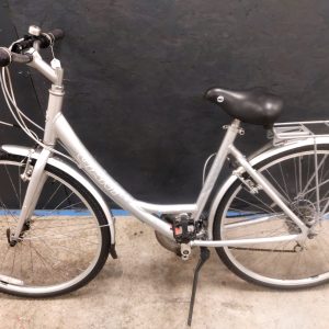 Raleigh Expression