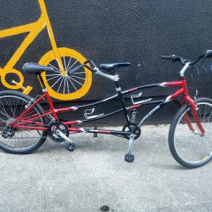 Kent Northwoods Dual Drive Tandem Bike