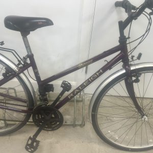 Raleigh Pioneer